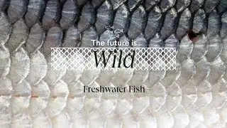 The Future Is Wild: Freshwater Fish
