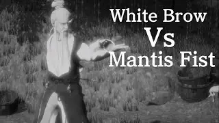 Shaolin Vs Wutang: White Brow Vs Mantis Fist