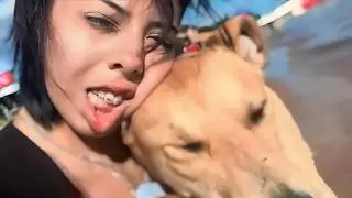 UNUSUAL MEMES COMPILATION V355