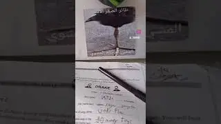 Adolf hitler instagram Facebook Twitter