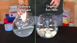 Реклама Eco Nuts