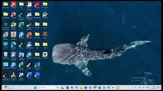 Batch 2025 -G11 Virtual Company 1: POS System