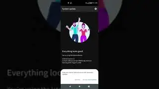 moto one action Android 11 update roll out