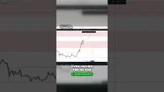 Cardano EXPLOSION