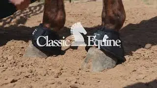 Classic Equine Dy No Turn Bell Boot