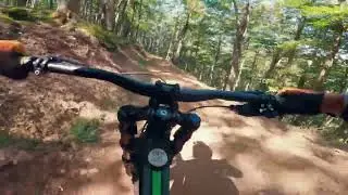 Snowshoe Western Territory Top to Bottom!!! #mtb