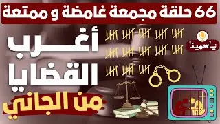66🔴حلقات مجمعة أغرب القضايا ⚖︎ من الجاني ⚖︎ من أرشيف المحاكم 😱 حلقات مجمعة غامضة و ممتعة