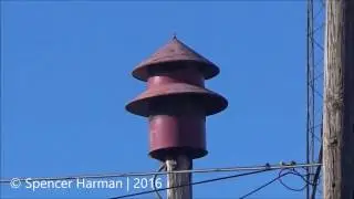 Milford, IN | Federal Signal Model 7 | Noon Blast | 12/29/2016