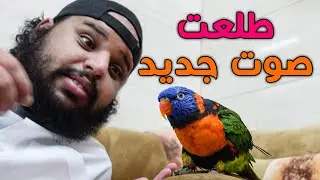 سكر طلعت صوت جديد