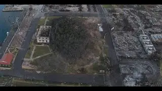 Drone Exploration in Lahaina, Maui - Banyan Tree - Eight Months Post-Fire