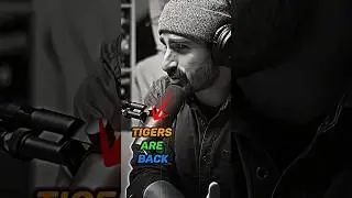 Tiger Populations Are Coming Back