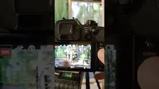 ЛУЧШИЙ хак для Panasonic GH5! 😍 #шорты #gh5