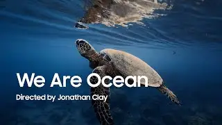 Filmed #withGalaxy S25 Ultra | 'We Are Ocean' by Jonathan Clay | Samsung