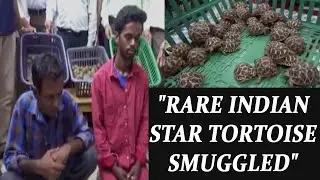 Tortoise smuggling : 2 held for smuggling 200 rare star tortoise | Oneindia News