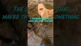 Vicious Dogs Attack While Fishing 🐶💥 #Shorts