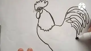 How to draw a cock Easy step by step
