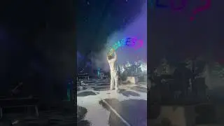 rex orange county performing live