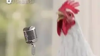Ку ку рику