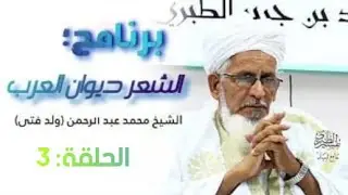 الشعر ديوان العرب ح3 محمد عبد الرحمن (ولد فتى)