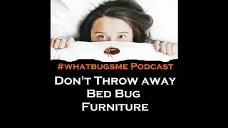 Don't Throw Away Bed Bug Furniture #whatbugsme AUDIO PODCAST