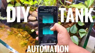 DIY Smart Aquarium Automation! 🐠 | AZIOT Smart Switch Setup & Features