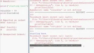 013 common python errors(python)