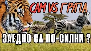 Защо някои животни живеят САМИ, а други на ГРУПИ?
