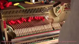 Manutenzione e accordatura del mio Pianoforte dopo 35 anni di inattività. Filmato accelerato.