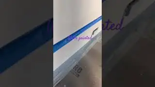 Painting walls #like #viral #viralshort #new #home #pro #shorts #short #shortsfeed #viralshorts