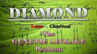 DIAMOND | Corn Snake Morph Deep Dive / Genetic Linkage
