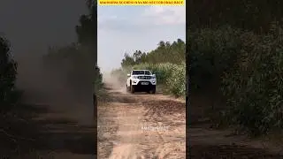 SCORPIO N Vs MG HECTOR DRAG RACE CHALLENGE #shorts #ytshort #scorpio #hector #facts #viral