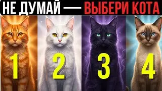 ВЫБЕРИ КОТА И УЗНАЙ ВСЮ ПРАВДУ О СЕБЕ | Только 1% угадывают