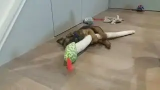Little Kraken - The Snake Slayer