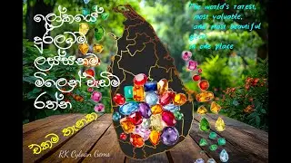 ලෝකයේ දුර්ලබම මැණික් එකම තැනක ⛏️The world's rarest, most valuable gems in one place 😊