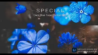 Special Dark Blue Tone Portrait Filter Lightroom Presets DNG and XMP Free Download | Moody Cinematic