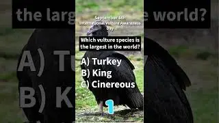 International Vulture Awareness Day Quiz | Who Knew These Creatures Were So Important! #quiz #facts