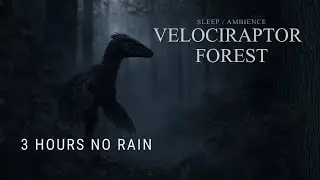 Foggy Forest Ambience with Distant Velociraptor | No Rain Just Wind 3 Hours