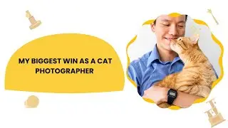 My Biggest Win As A Cat Photographer!