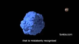 Why is biocompatible the titanium used for dental implants (LOC)