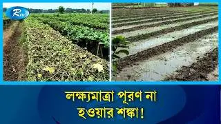 যশোরে বৃষ্টিতে সবজির ব্যাপক ক্ষতি | Jessore rain crop damage | Rtv News