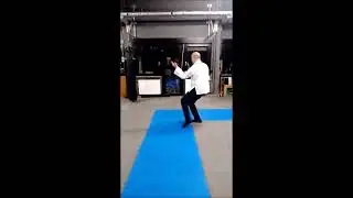 9er Kurzform von hinten, Chen Taijiquan Ausbilder Andreas Schmidt