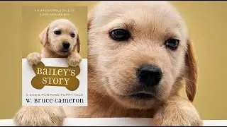 Bailey's Story by W. Bruce Cameron - Chapter 6