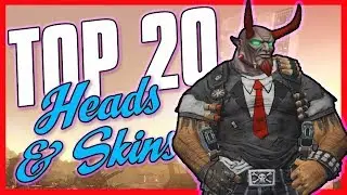 Borderlands 2 - TOP 20 HEADS & SKINS!
