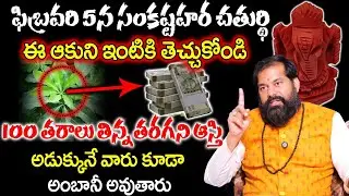 Pradeep Joshi - ఈ ఆకు ఇంటికి తెచ్చుకుంటే కోటీశ్వరులు అవ్వడం గ్యారంటీ ..! | SumanTV Geethanjali