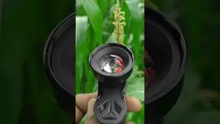 Apexel 100mm 4k Macro Lens Photography 😍🔥 #nature #macrophotography #macrolens #mobilephotography