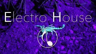 NDMZ - Scorpion (Original Mix)