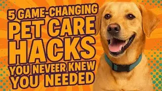 5 Surprising Ways to Help Your Furry Friend Beat the Heat