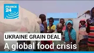 Developing nations 'strongly dependent' on Ukraine, world's food basket, for people's very survival
