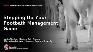 Stepping Up Your Footbath Management Game