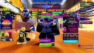 EXPERIENCE VOLLEYBALL LEGENDS RANKED